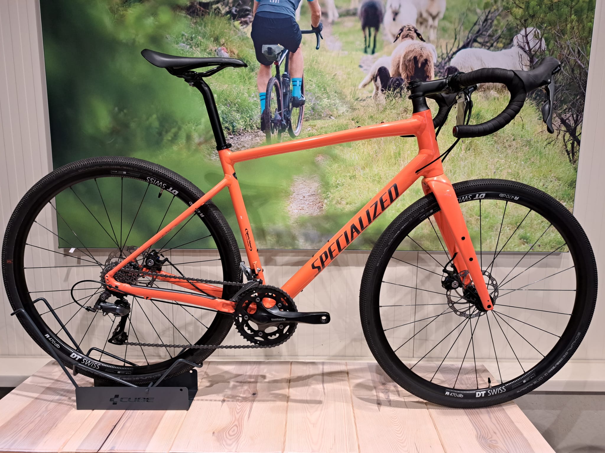 INRUILER: Specialized Diverge Alu 56